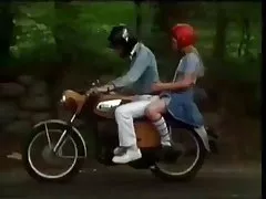 Vintage danés