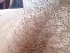 Cerca de su arbusto peludo suave.