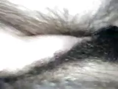 Biljana en acción