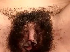 Hamburguesa de pelaje negro.