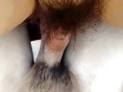 Polla peluda
