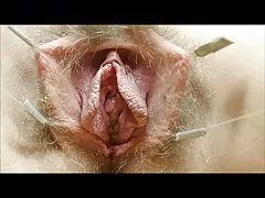 Gatitos cantando