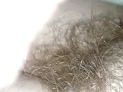 Sneaky peek de su bush pubis peludo suave bajo las sábanas.