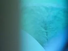 Rubia peluda curtido en el gimnasio