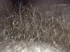 Frotando su coño peludo bajo las sábanas.