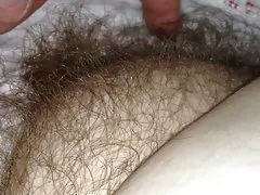 Frotando su coño peludo gordito sofy bajo la sábana